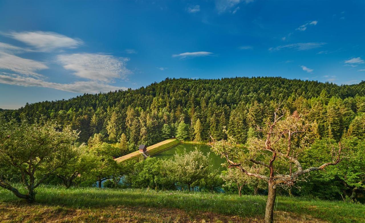 Banská Štiavnica Sad Nad Klingeromゲストハウス エクステリア 写真